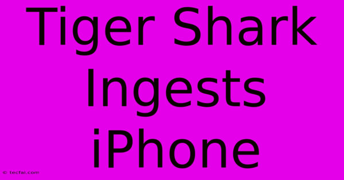 Tiger Shark Ingests IPhone