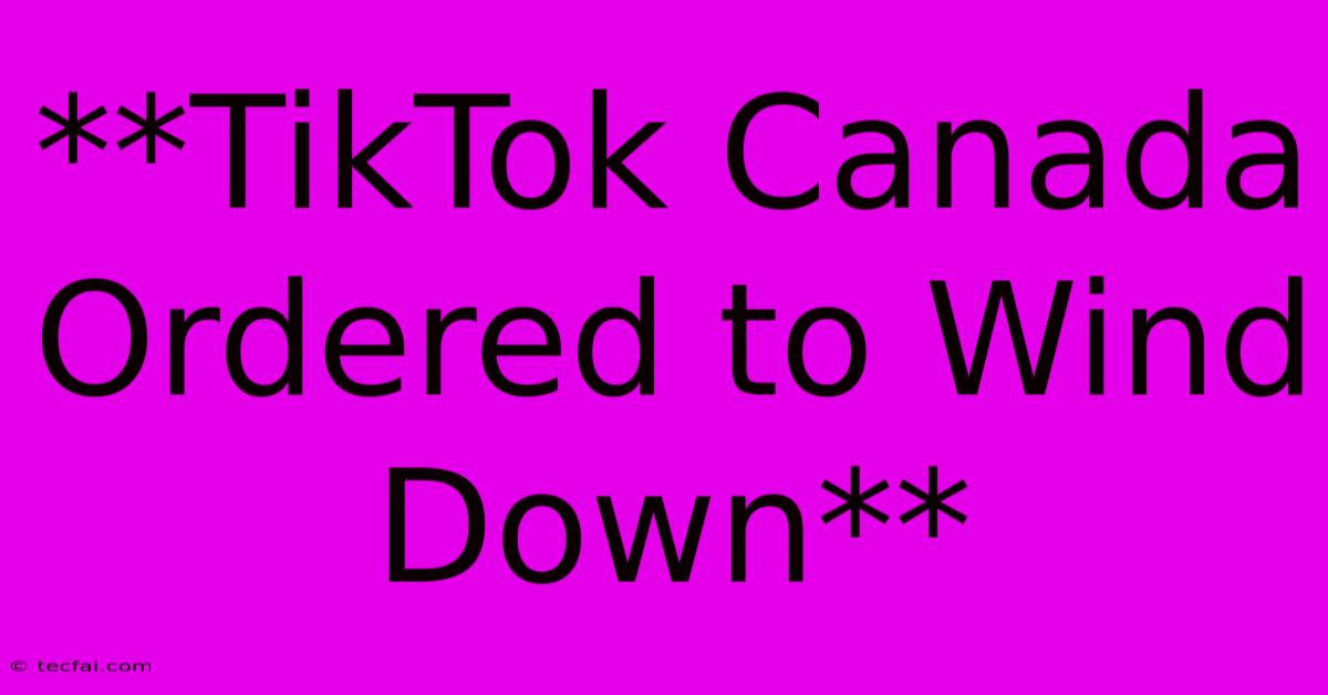 **TikTok Canada Ordered To Wind Down**