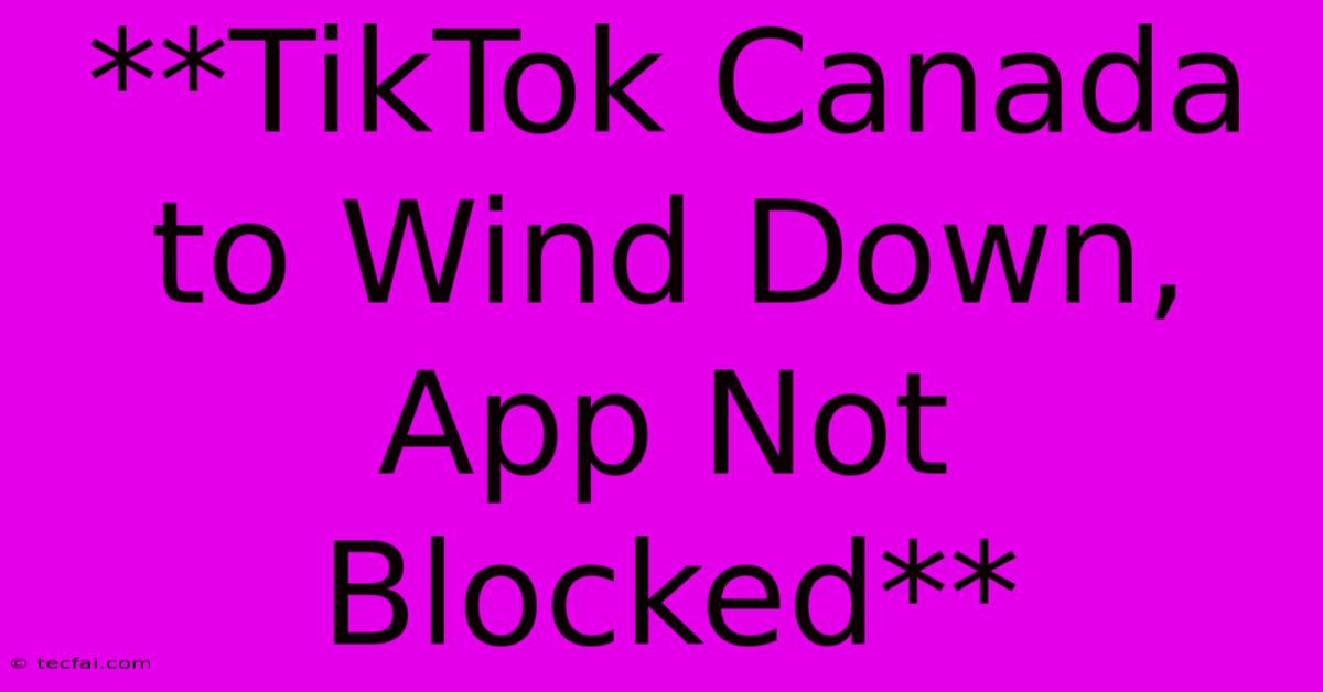 **TikTok Canada To Wind Down, App Not Blocked**