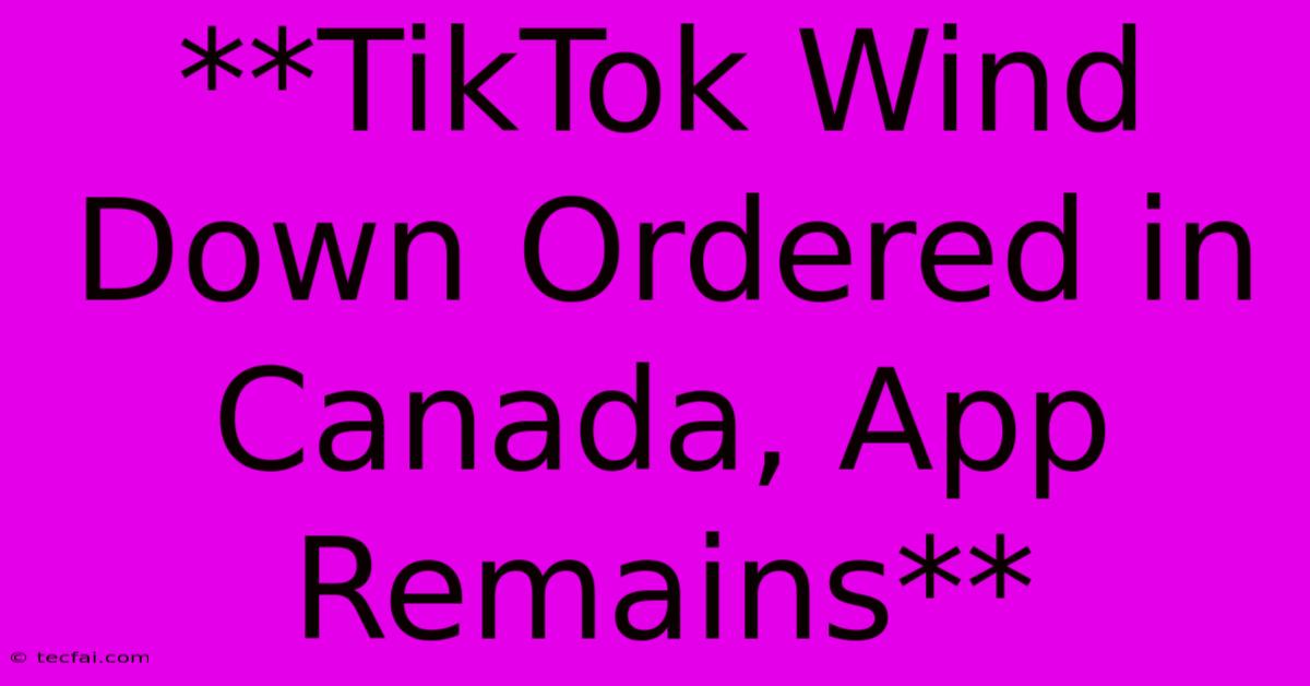 **TikTok Wind Down Ordered In Canada, App Remains** 