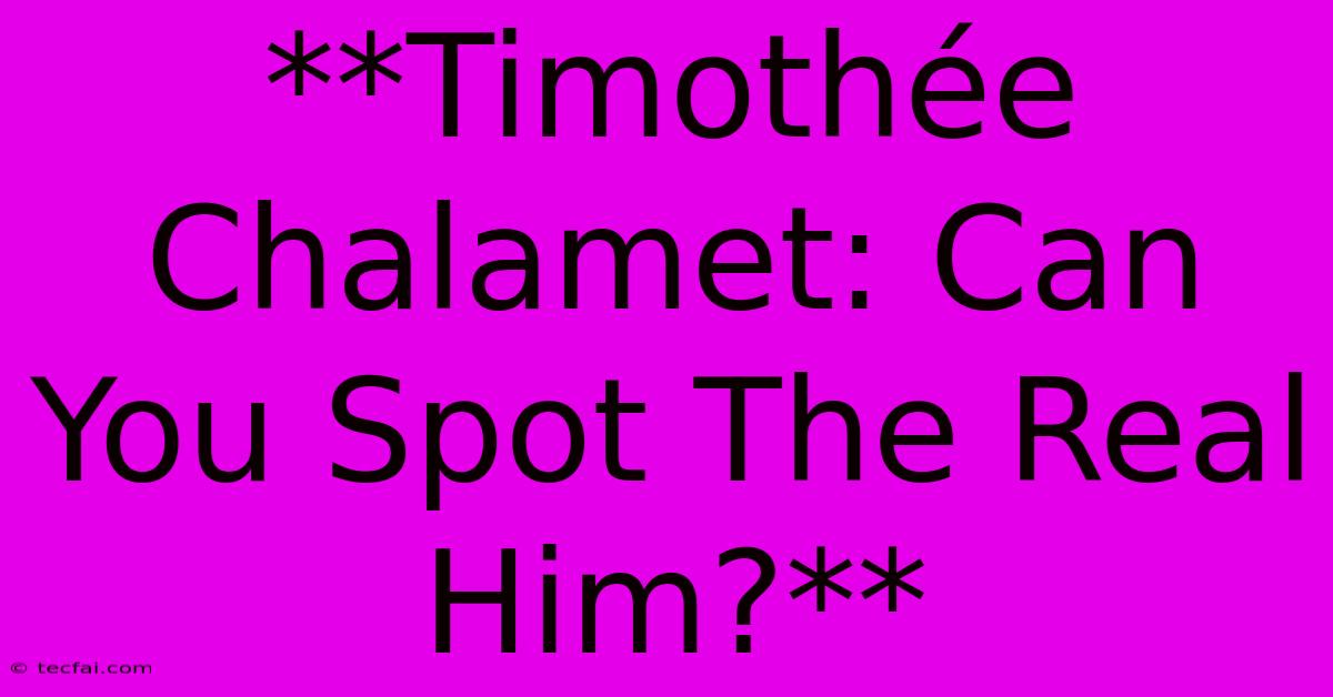 **Timothée Chalamet: Can You Spot The Real Him?**