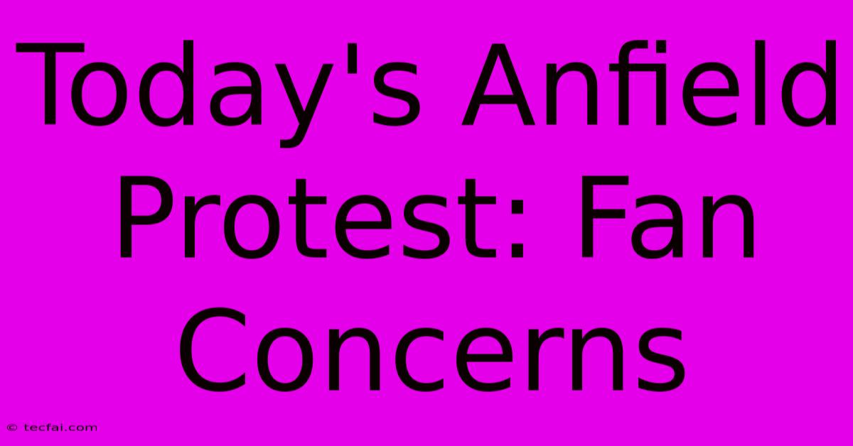 Today's Anfield Protest: Fan Concerns