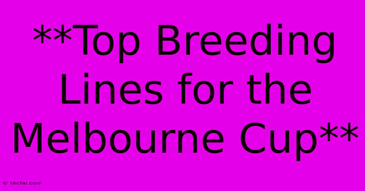 **Top Breeding Lines For The Melbourne Cup**