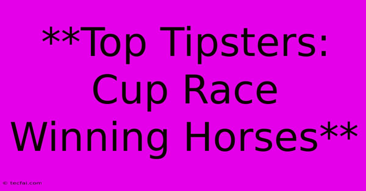 **Top Tipsters: Cup Race Winning Horses** 