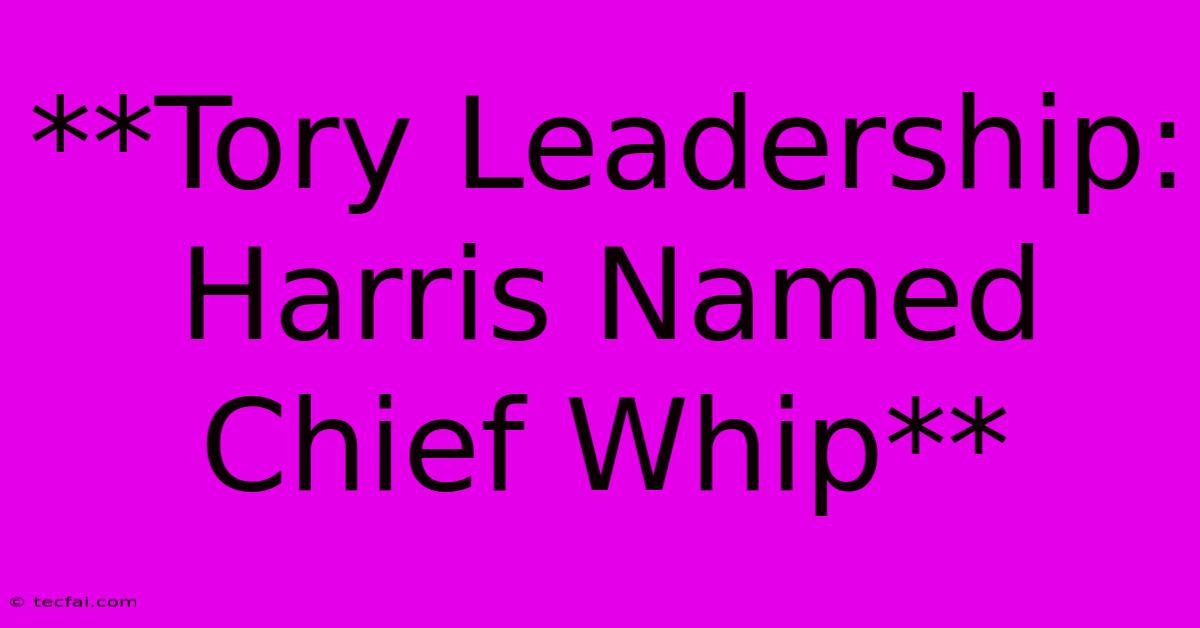 **Tory Leadership: Harris Named Chief Whip**