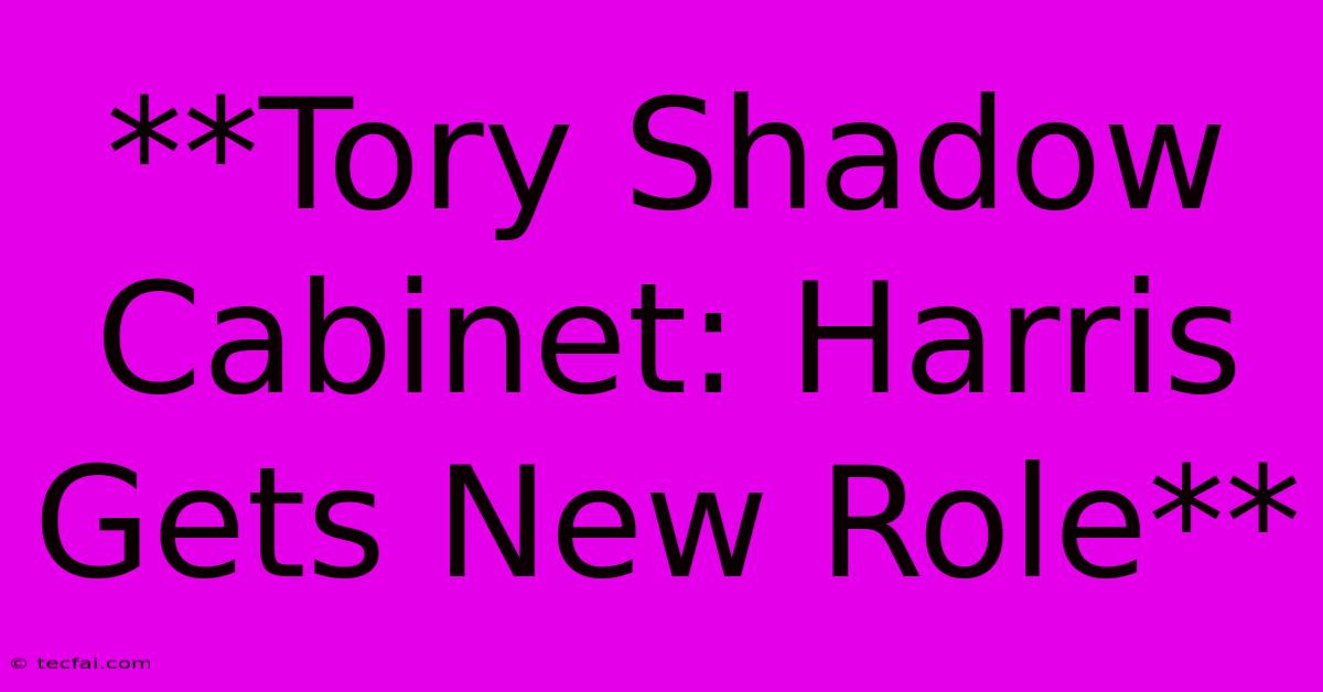 **Tory Shadow Cabinet: Harris Gets New Role** 