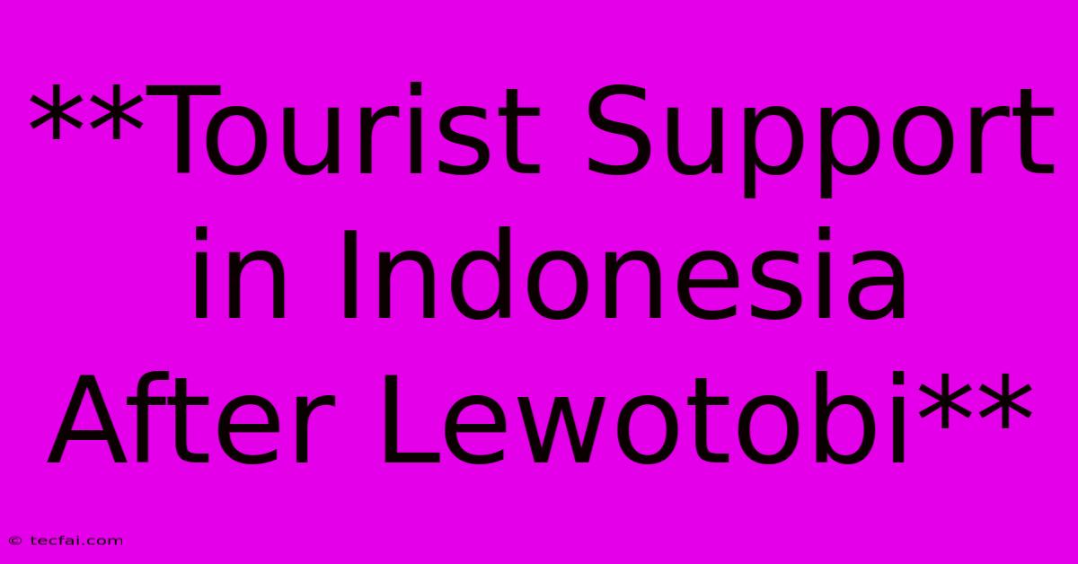 **Tourist Support In Indonesia After Lewotobi**