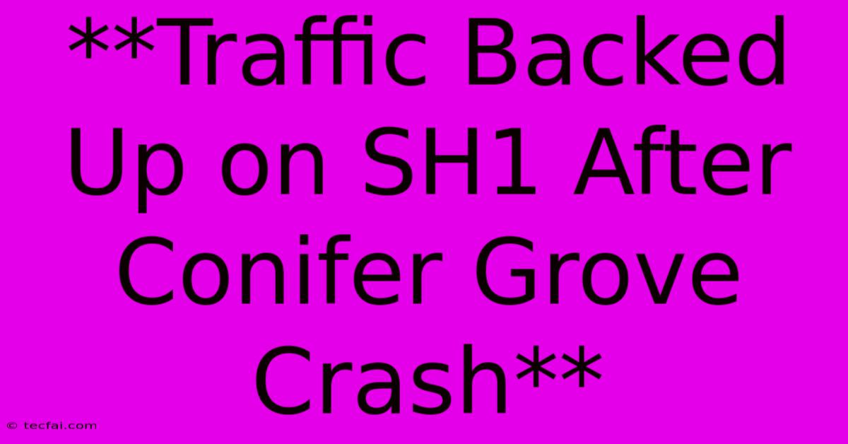 **Traffic Backed Up On SH1 After Conifer Grove Crash**