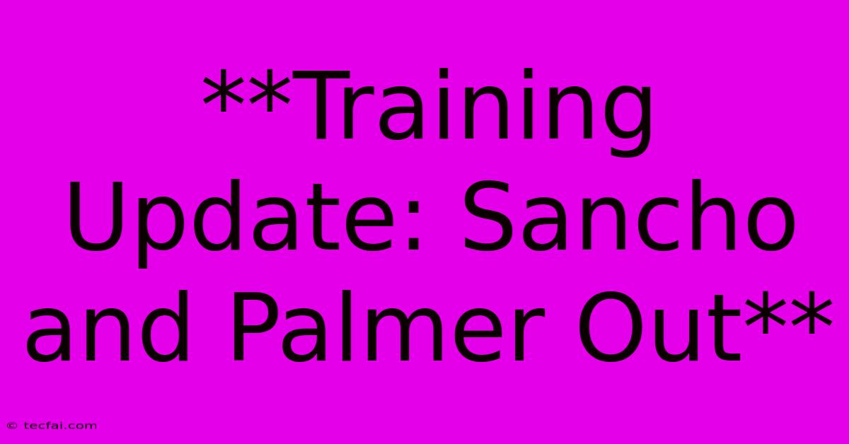 **Training Update: Sancho And Palmer Out**