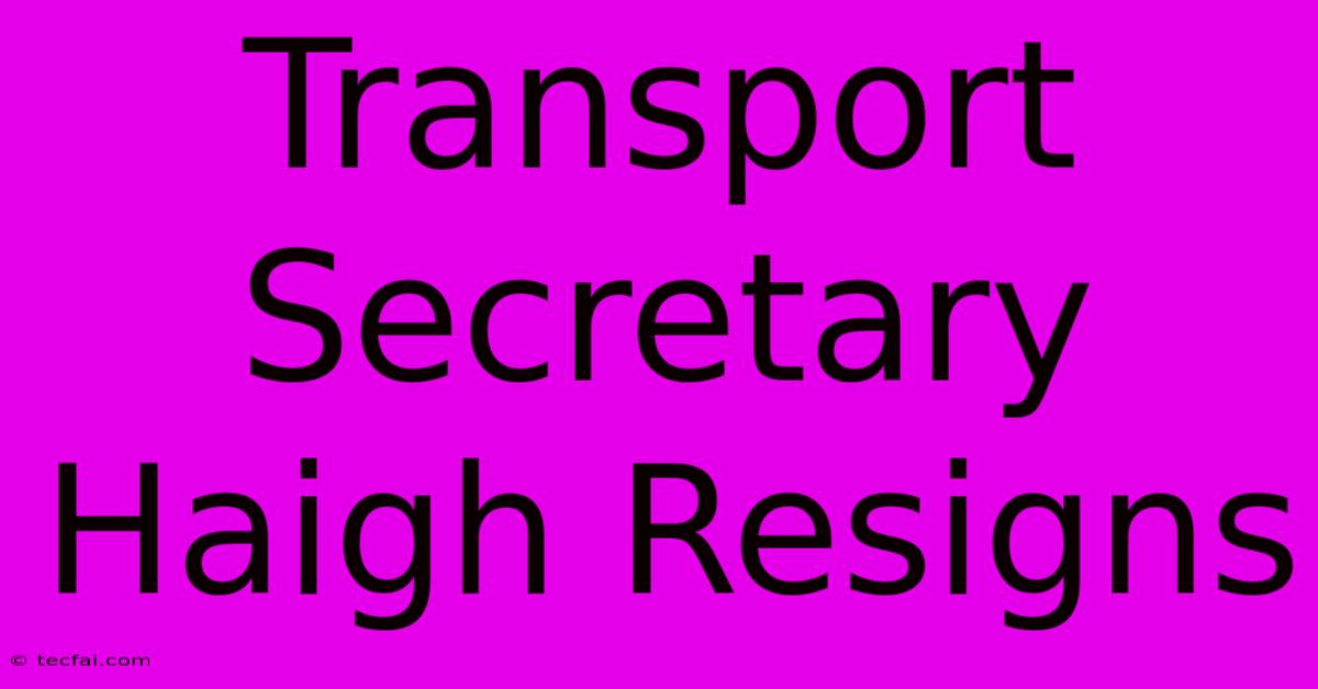 Transport Secretary Haigh Resigns