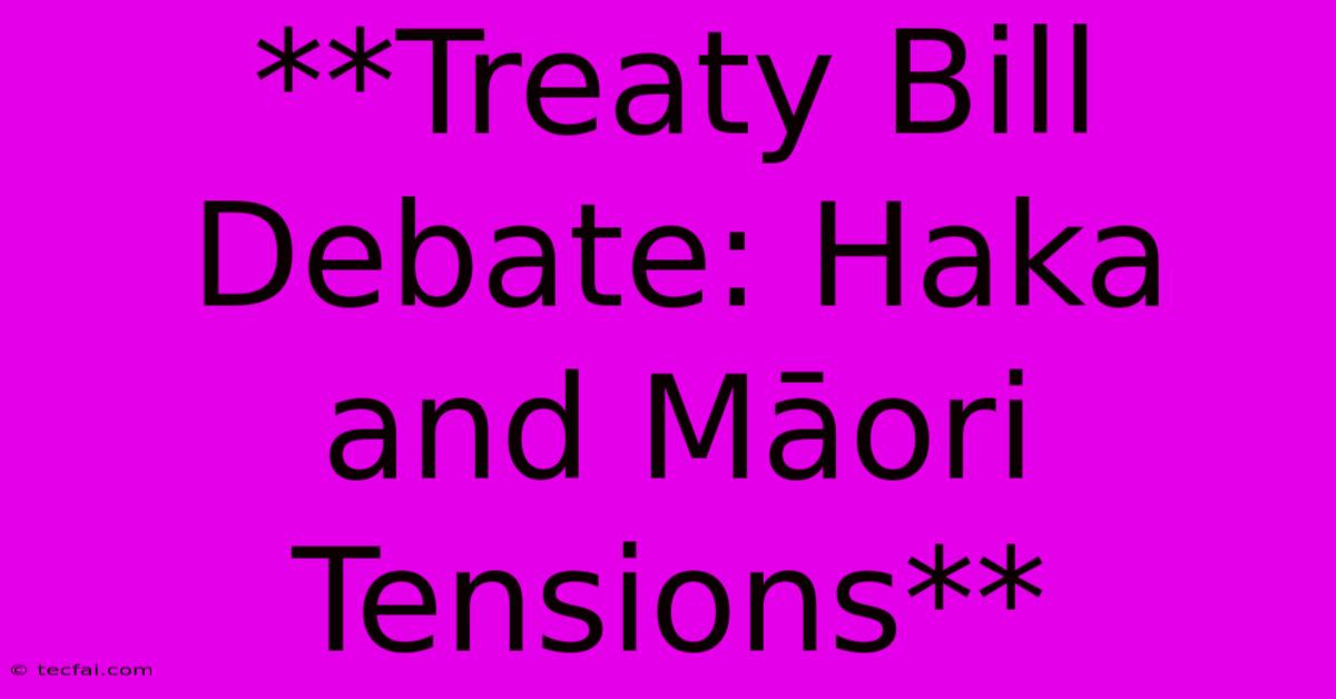 **Treaty Bill Debate: Haka And Māori Tensions**