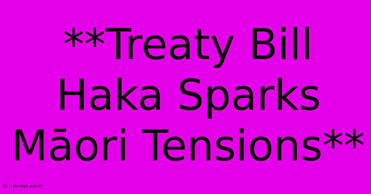 **Treaty Bill Haka Sparks Māori Tensions**