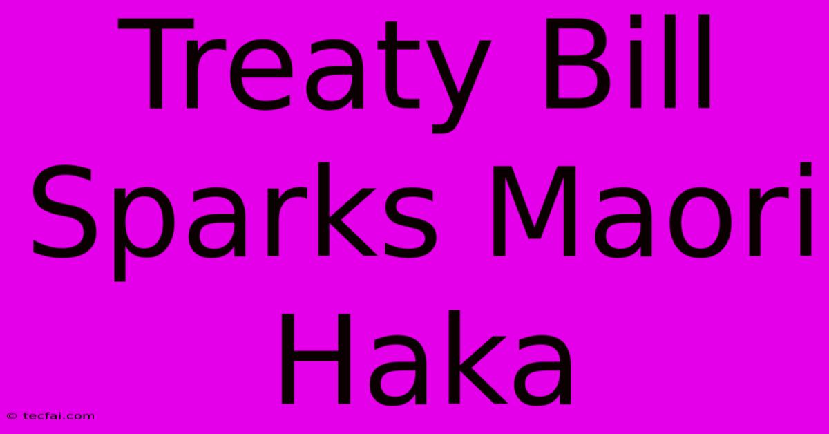 Treaty Bill Sparks Maori Haka