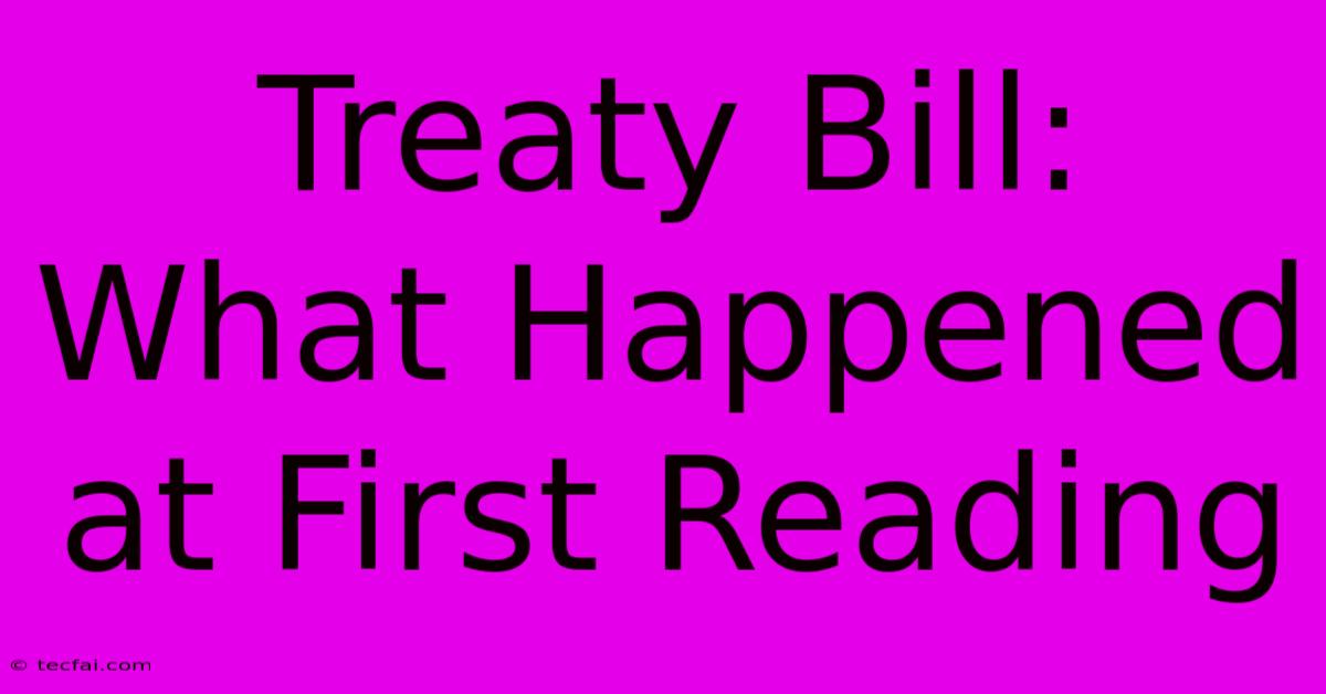 Treaty Bill: What Happened At First Reading