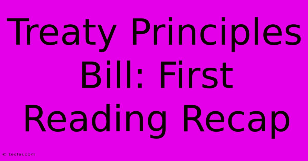 Treaty Principles Bill: First Reading Recap