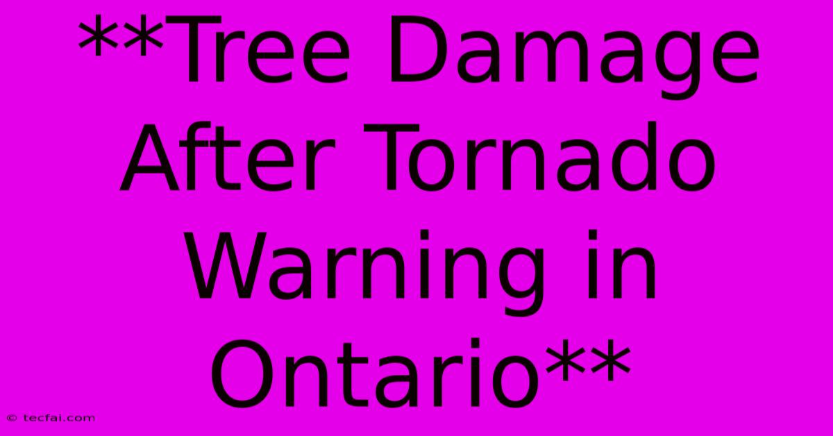 **Tree Damage After Tornado Warning In Ontario**