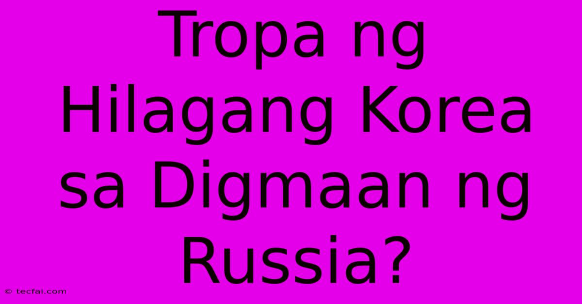 Tropa Ng Hilagang Korea Sa Digmaan Ng Russia?