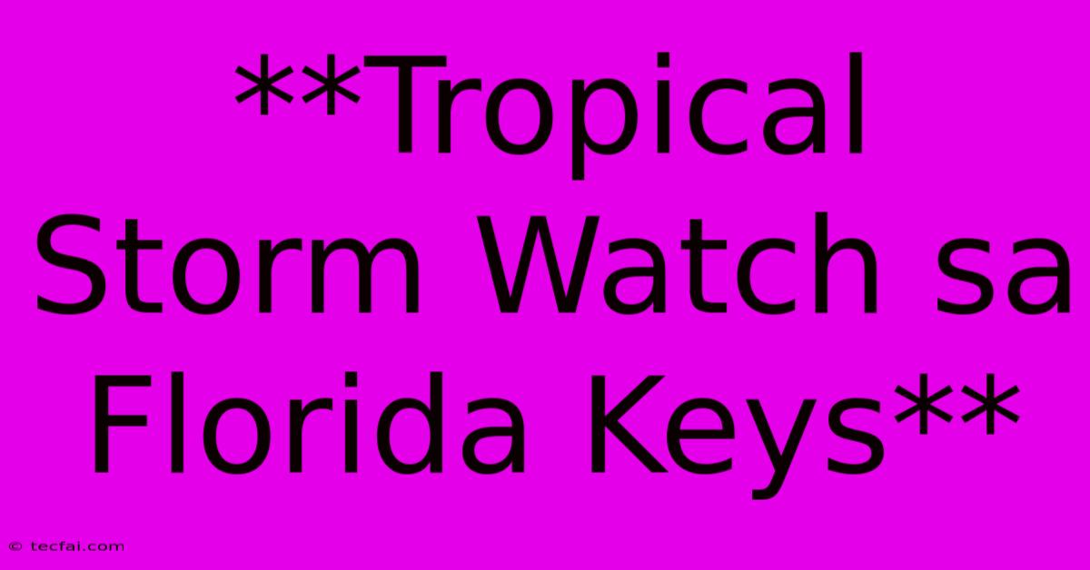 **Tropical Storm Watch Sa Florida Keys**