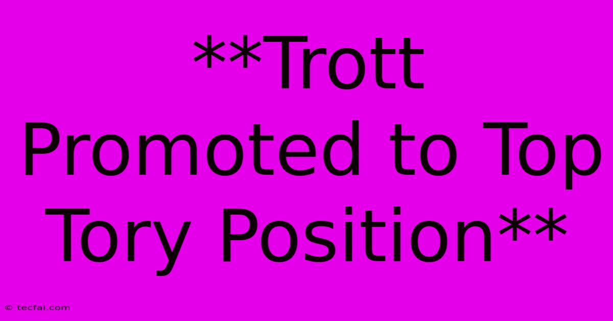 **Trott Promoted To Top Tory Position**