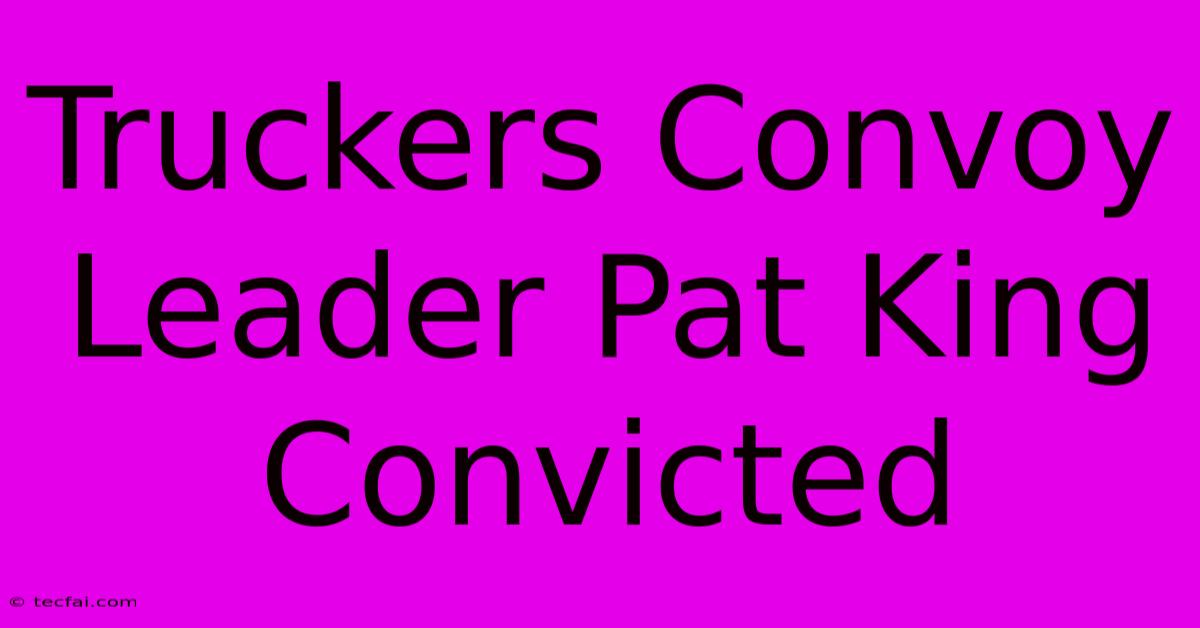 Truckers Convoy Leader Pat King Convicted