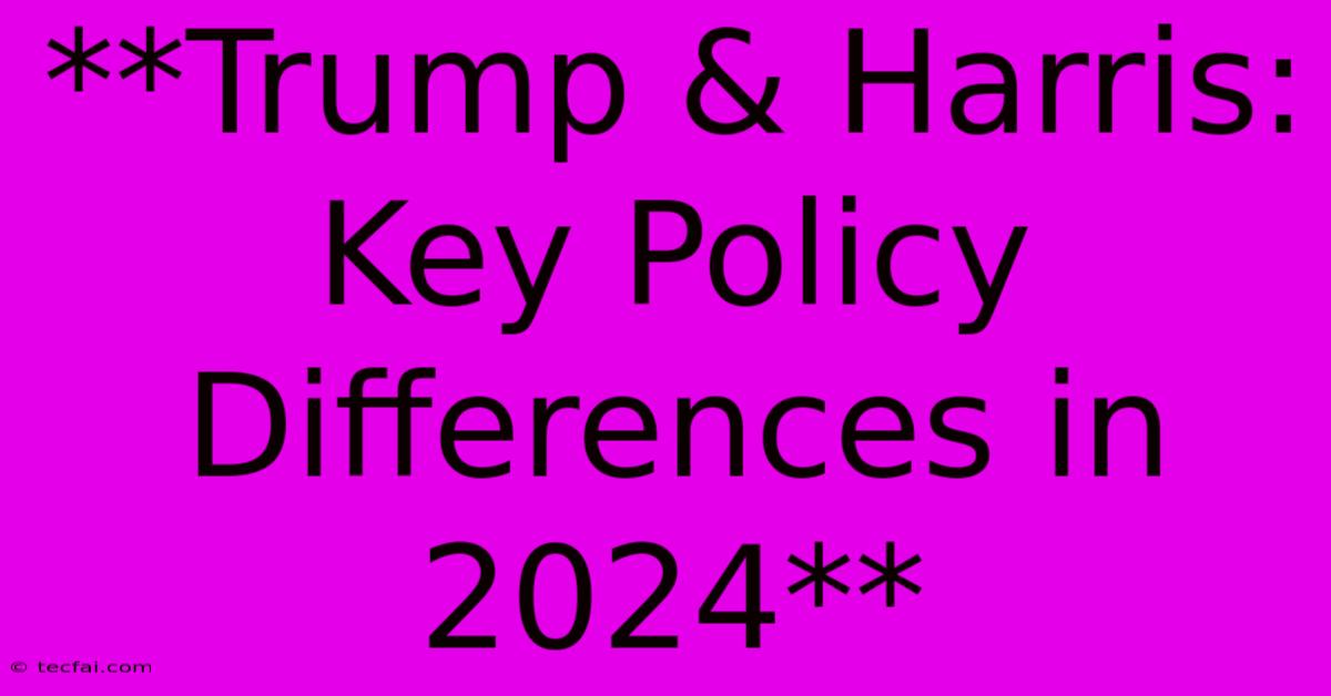 **Trump & Harris: Key Policy Differences In 2024**