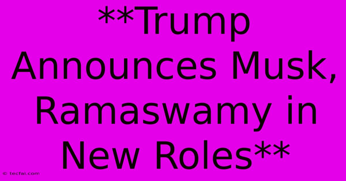 **Trump Announces Musk, Ramaswamy In New Roles** 