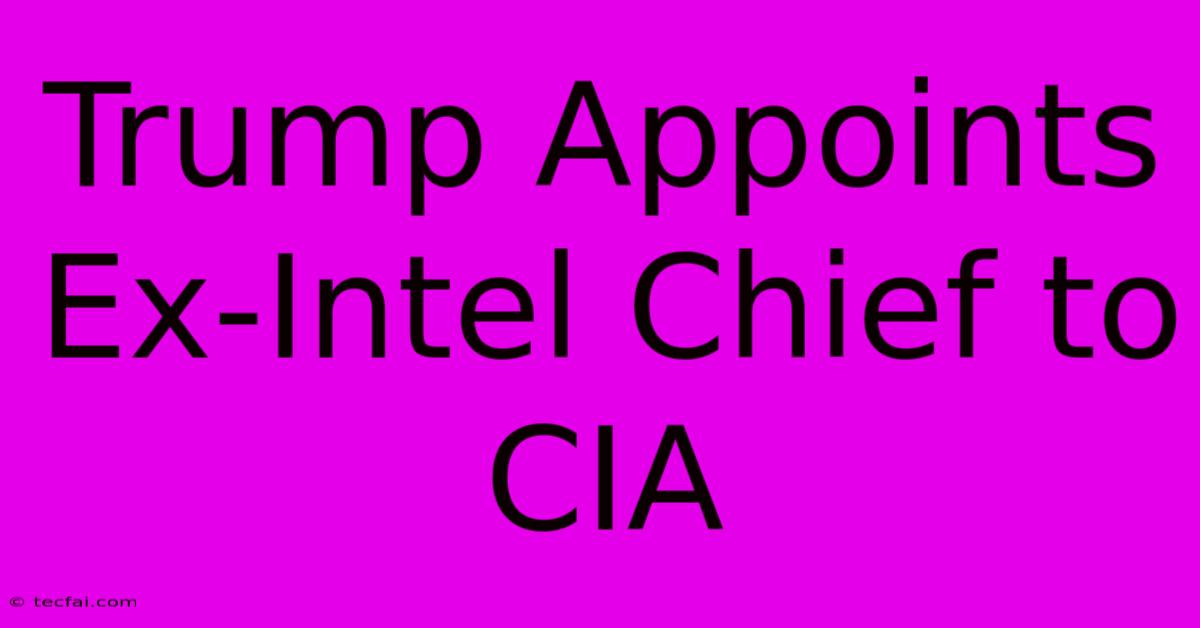 Trump Appoints Ex-Intel Chief To CIA