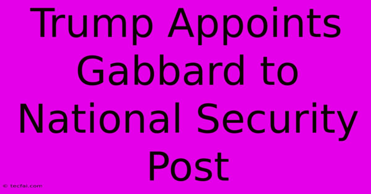 Trump Appoints Gabbard To National Security Post