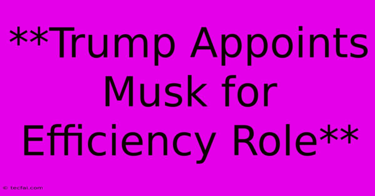 **Trump Appoints Musk For Efficiency Role** 