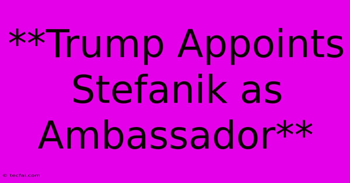 **Trump Appoints Stefanik As Ambassador**