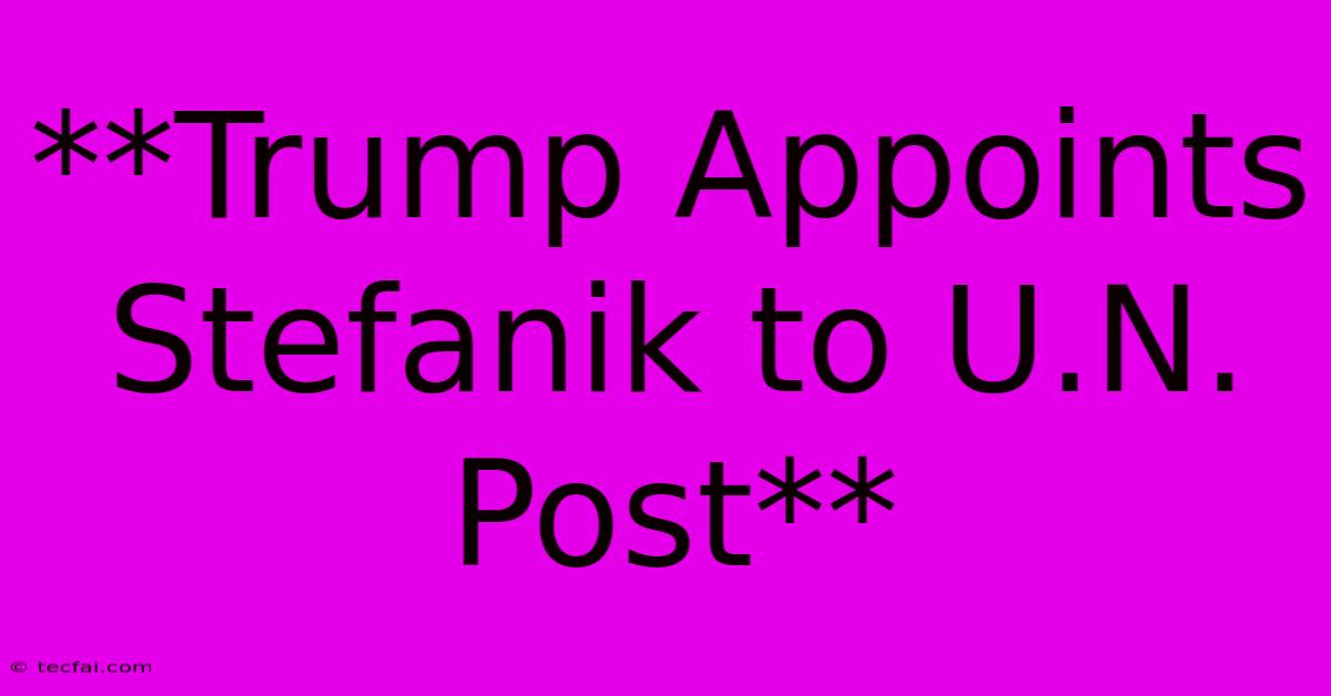 **Trump Appoints Stefanik To U.N. Post**