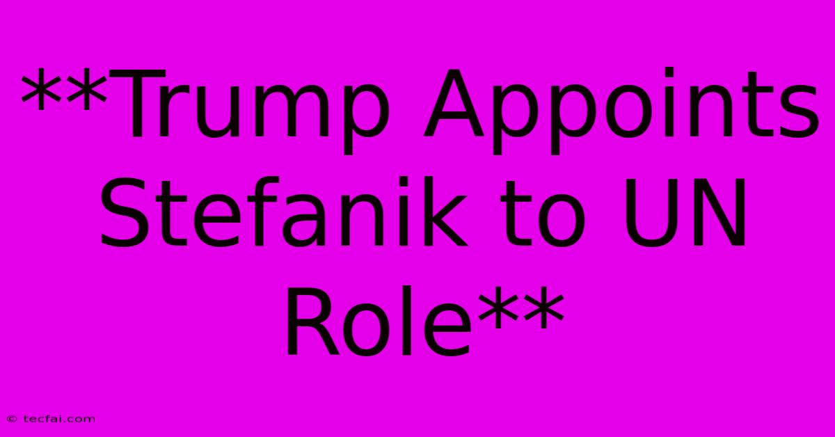 **Trump Appoints Stefanik To UN Role**