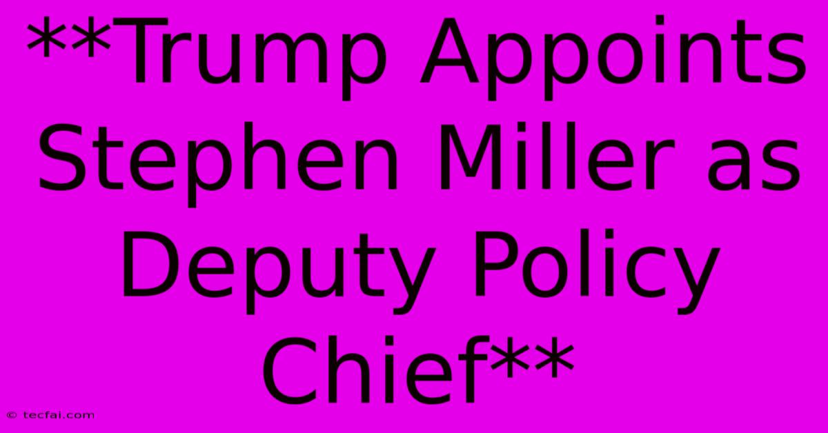 **Trump Appoints Stephen Miller As Deputy Policy Chief**