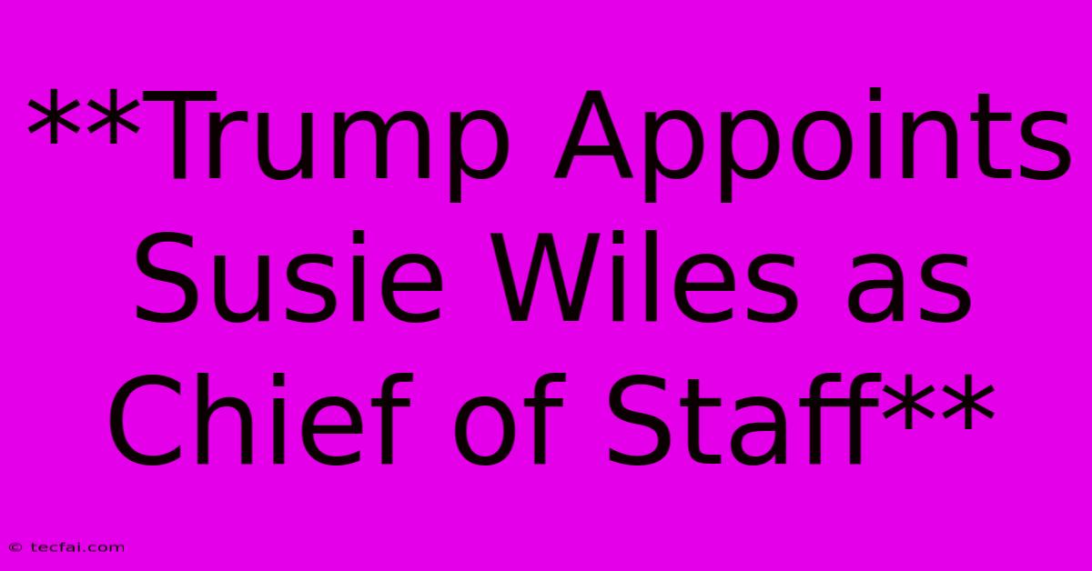 **Trump Appoints Susie Wiles As Chief Of Staff**