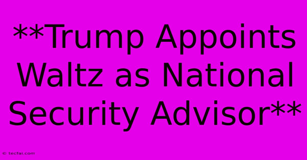 **Trump Appoints Waltz As National Security Advisor**