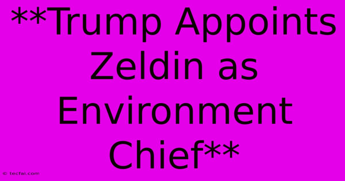 **Trump Appoints Zeldin As Environment Chief**