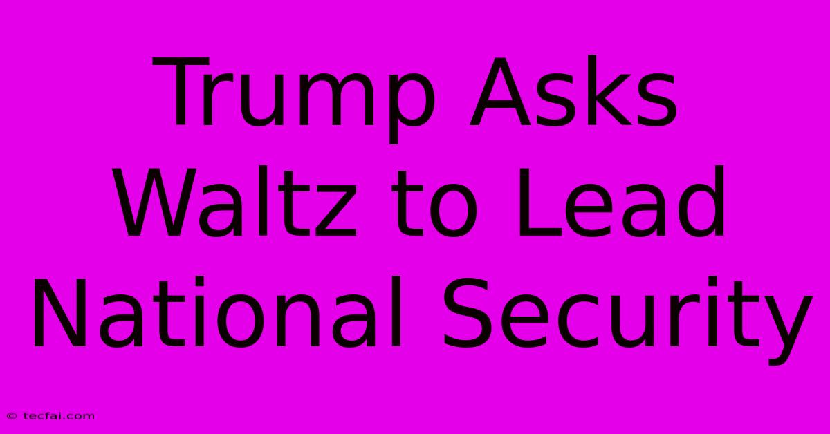 Trump Asks Waltz To Lead National Security 