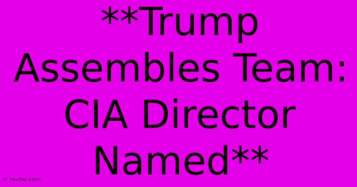 **Trump Assembles Team: CIA Director Named**