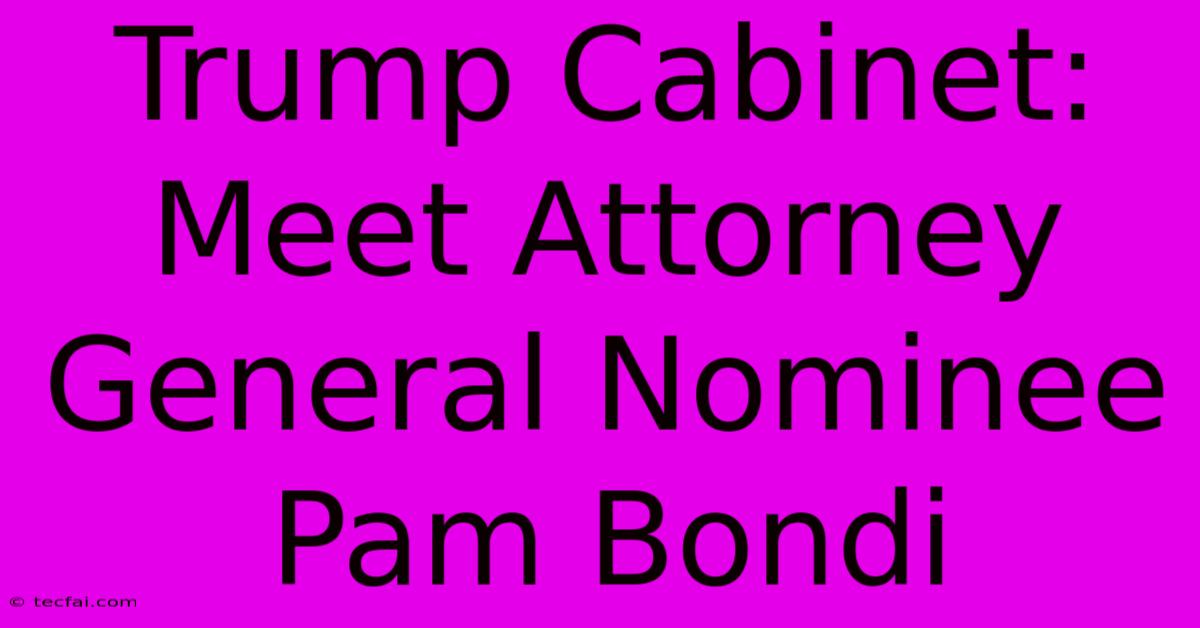 Trump Cabinet: Meet Attorney General Nominee Pam Bondi