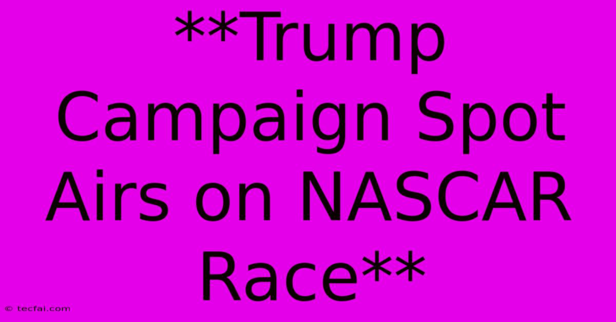 **Trump Campaign Spot Airs On NASCAR Race**