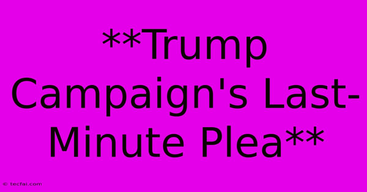 **Trump Campaign's Last-Minute Plea**