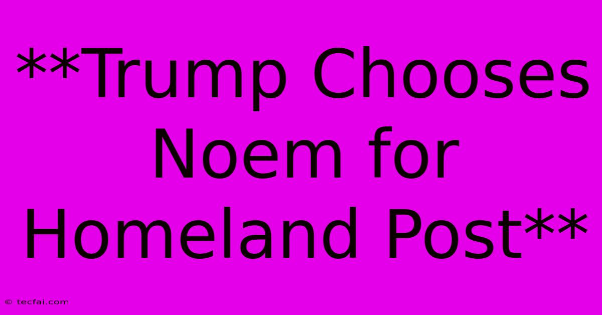 **Trump Chooses Noem For Homeland Post** 