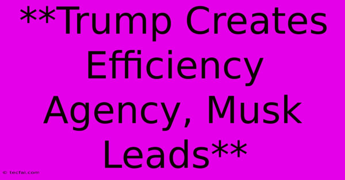 **Trump Creates Efficiency Agency, Musk Leads** 