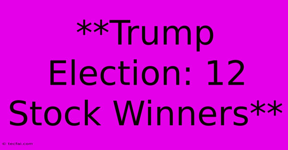 **Trump Election: 12 Stock Winners** 