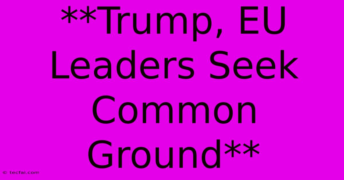 **Trump, EU Leaders Seek Common Ground** 