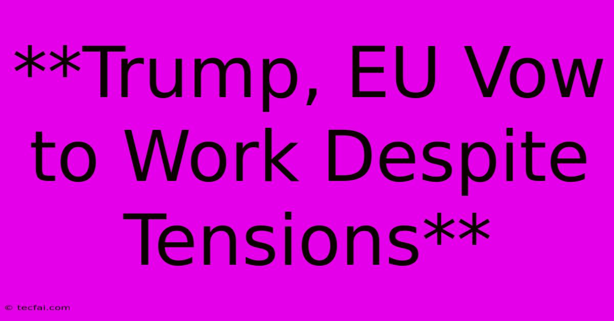 **Trump, EU Vow To Work Despite Tensions**