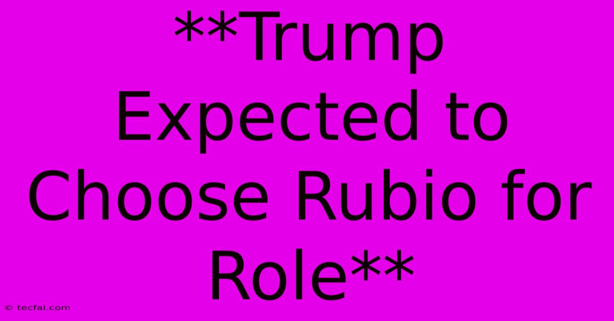 **Trump Expected To Choose Rubio For Role** 