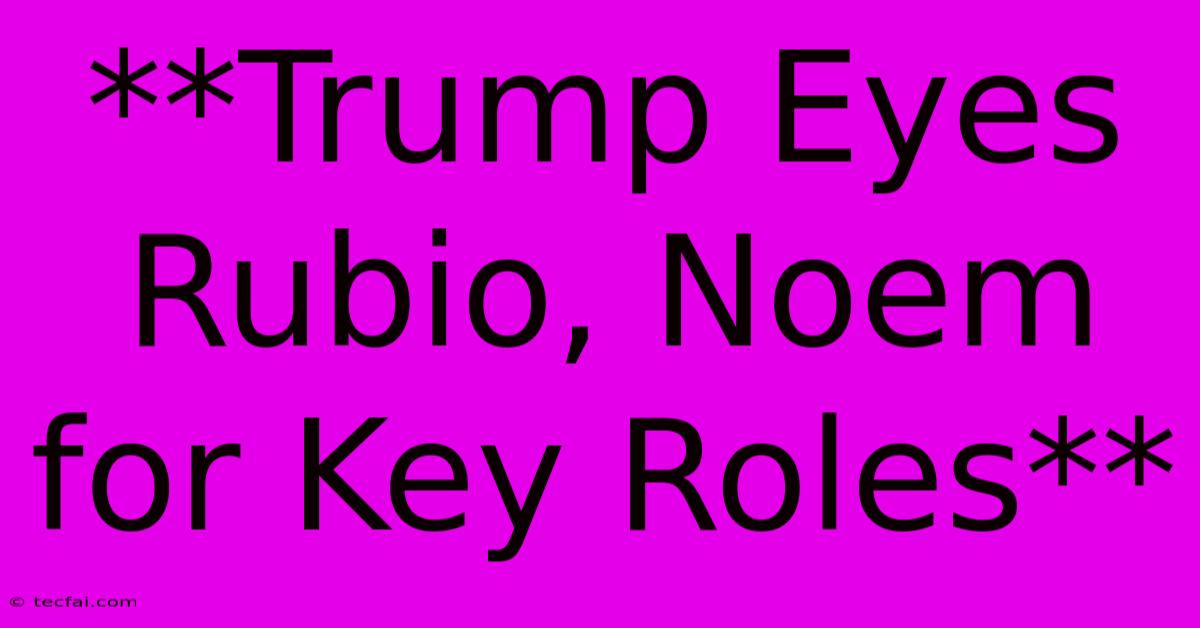 **Trump Eyes Rubio, Noem For Key Roles** 