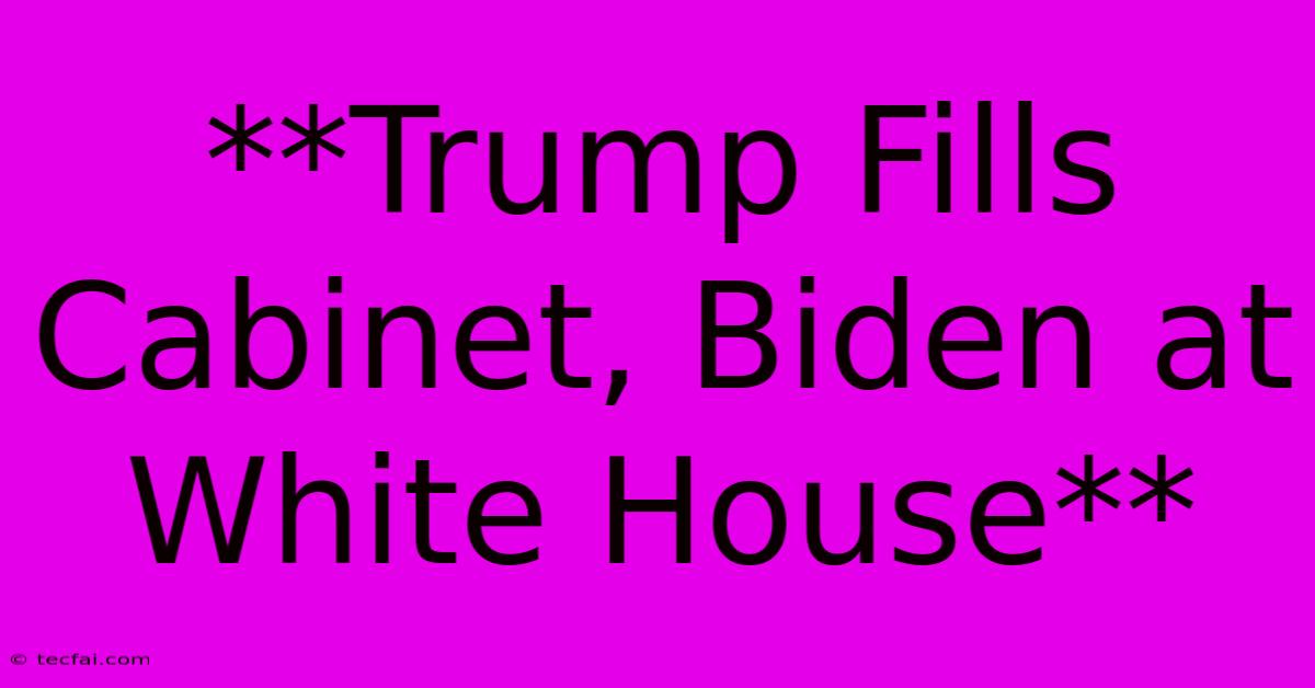 **Trump Fills Cabinet, Biden At White House** 