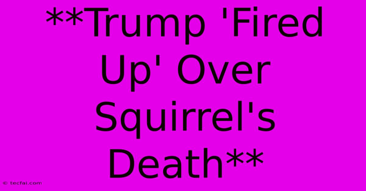 **Trump 'Fired Up' Over Squirrel's Death**